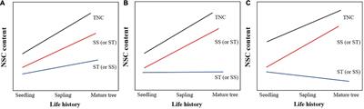 Dynamic variation of non-structural carbohydrates in branches and leaves of temperate broad-leaved tree species over a complete life history
